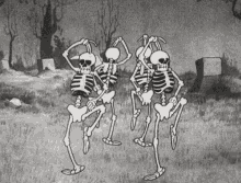 Spooky Skull GIF - Spooky Skull Dance GIFs