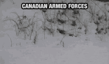 Canada Army GIF - Canada Army Hiding GIFs