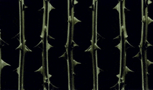 Spikes GIF