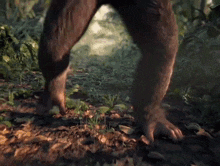 a close up of a bigfoot 's feet walking through the woods