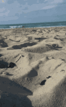 Sand Summer GIF - Sand Summer Beach GIFs