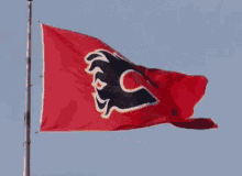 Calgary Flames Nhl GIF - Calgary Flames Nhl Hockey GIFs