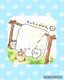 a picture of a cartoon with a blue background and the words pic collage on the bottom