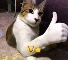 a cat is giving a thumbs up with a smiley face on its arm