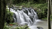Waterfall Nature GIF - Waterfall Water Nature GIFs