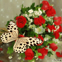 butterfly insect flowers bouquet bouquet of flowers