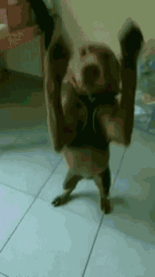 Baile Party GIF - Baile Party Party Hard GIFs