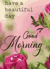 a picture of pink roses with the words " have a beautiful day good morning "