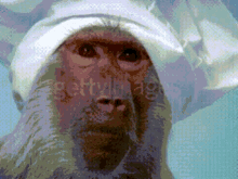 Monkey Chef GIF - Monkey Chef Sad GIFs