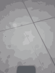 Basi Floor GIF - Basi Floor Shadow GIFs