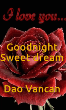 Lênhân Goodnight GIF - Lênhân Goodnight Sweet Dream GIFs