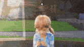 a cartoon girl is looking at a cell phone with the letter a above her head .