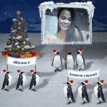 Gallery Christmas GIF - Gallery Christmas Penguin GIFs