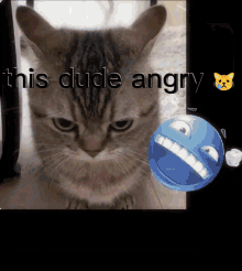 Cat Catcore GIF - Cat Catcore Emoji GIFs