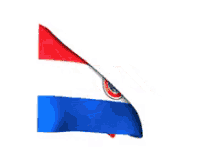 Paraguay Flag GIF - Paraguay GIFs