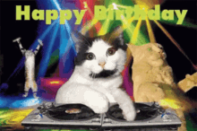 Cat Birthday Dj GIF - Cat Birthday Dj GIFs