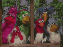 Muppets Muppet Show GIF - Muppets Muppet Show Birds GIFs