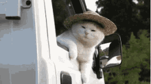Hola Cat GIF - Hola Cat Hello GIFs