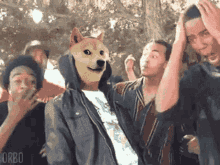 Owned Doge GIF - Owned Doge Dogecoin GIFs