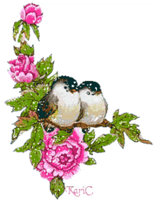 love flowers love birds couple birds