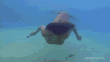 mermaid underwater