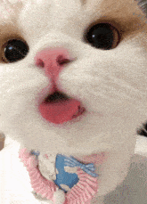 a close up of a cat 's face with its tongue sticking out