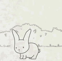 Cueio Bunny GIF