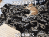 Goodnight Wormies Wormie Club GIF - Goodnight Wormies Wormie Club Wormie Book Club GIFs