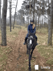 Forest Horses GIF