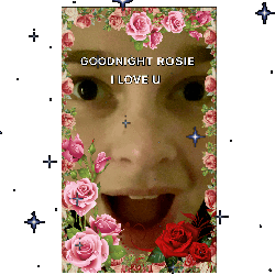 Goodnight Rose Goodnight Rosie Sticker - Goodnight Rose Goodnight Rosie Gn Rose Stickers