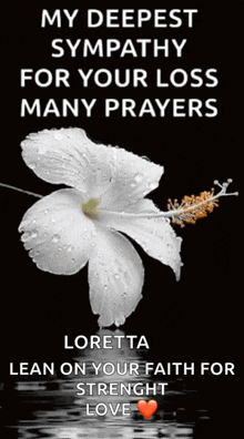 my deepest condolences flower deepest sympathy many prayers