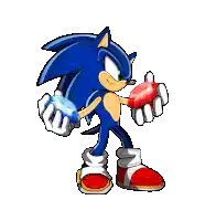 sonic the hedgehog from the video game sonic the hedgehog is holding a red ruby in his hands .