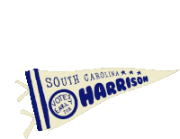 South Carolina Votes Early For Jamie Harrison Pennant Sticker - South Carolina Votes Early For Jamie Harrison Pennant Jamie Harrison Stickers