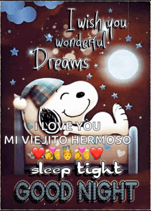 a snoopy poster that says " i wish you wonderful dreams "