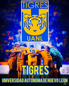 Tigres Campeon 2023 Tigres Uanl GIF - Tigres Campeon 2023 Tigres Tigres Uanl GIFs