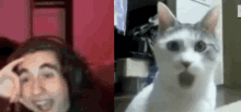 Jubby Jubby Cat GIF - Jubby Jubby Cat GIFs