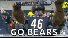 Chicago Bears GIF - Chicago Bears GIFs