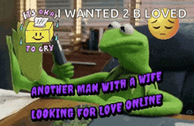 kermit the frog is looking for another man with a wife looking for love online .