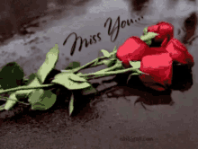 Miss You Red Roses GIF - Miss You Red Roses I Miss You GIFs