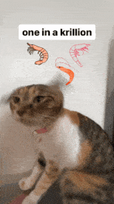 One In A Million One In A Krillion GIF - One In A Million One In A Krillion Cat GIFs