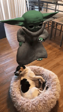 Snapchat Baby Yoda GIF - Snapchat Baby Yoda Dog GIFs