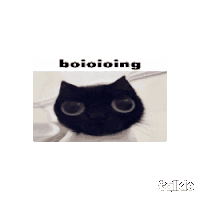 a black cat with big eyes and the words boioioing written above it