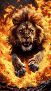 a lion is jumping through the air in a painting .