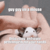 Mouse Rat GIF - Mouse Rat Baby GIFs