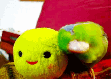 Love Parrot GIF - Love Parrot Cuddle GIFs