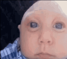 Cool Baby Shake Cool Baby Shakes Their Head Rofl Lmao Gif GIF - Cool Baby Shake Cool Baby Shakes Their Head Rofl Lmao Gif Nods GIFs