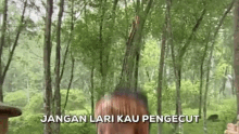 a man is standing in the middle of a forest holding a stick in his hand .