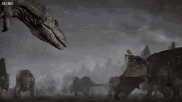 Tyrannosaurus Rex GIF - Tyrannosaurus Rex Fighting - Discover & Share GIFs
