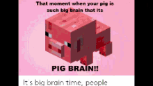 Waleed Pig Brain GIF - Waleed Pig Brain Meme GIFs