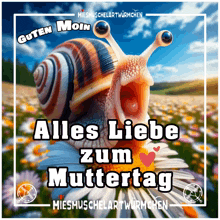 a picture of a snail with the words alles liebe zum muttertag